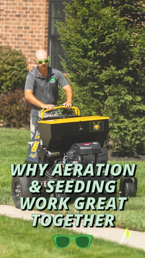 31 - Aeration + Seeding