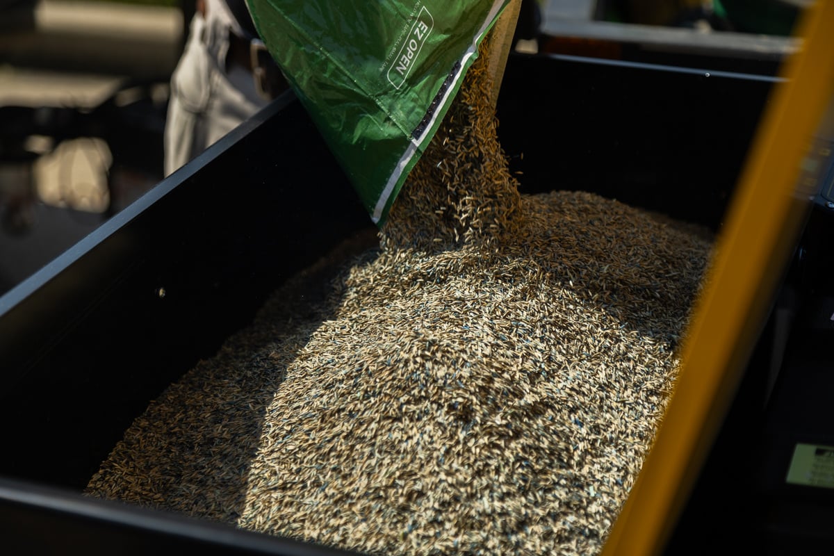 bulk grass seed