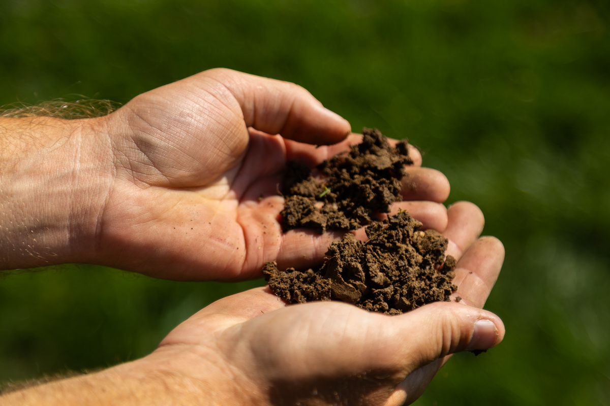 soil testing provides key information on your lawn's health