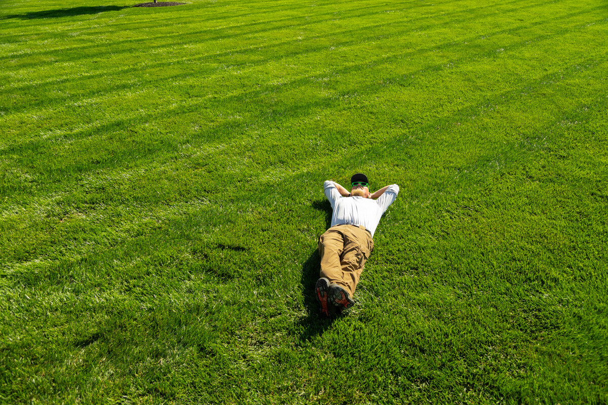 successful, healthy lawn after following the Indiana Lawn Care Calendar