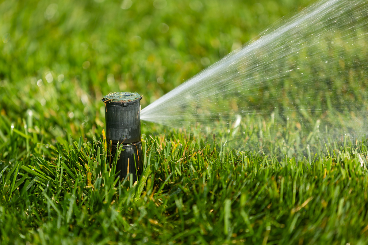 sprinkler watering grass