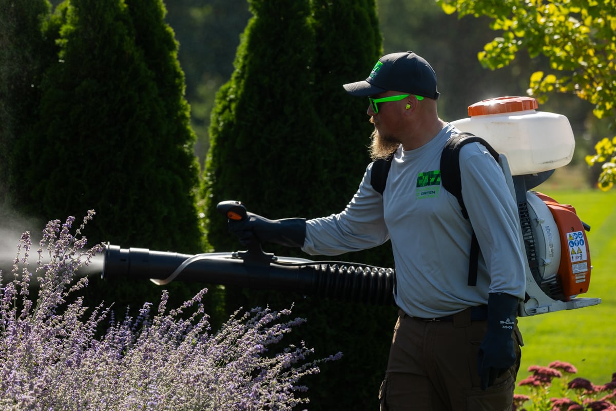 mosquito control being applied as a fog