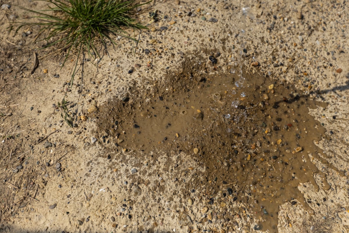 compacted soil can't absorb water as well