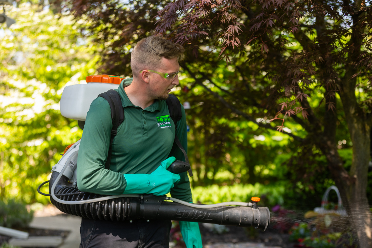 mosquito control technician spraying a treatment to prevent mosquitoes