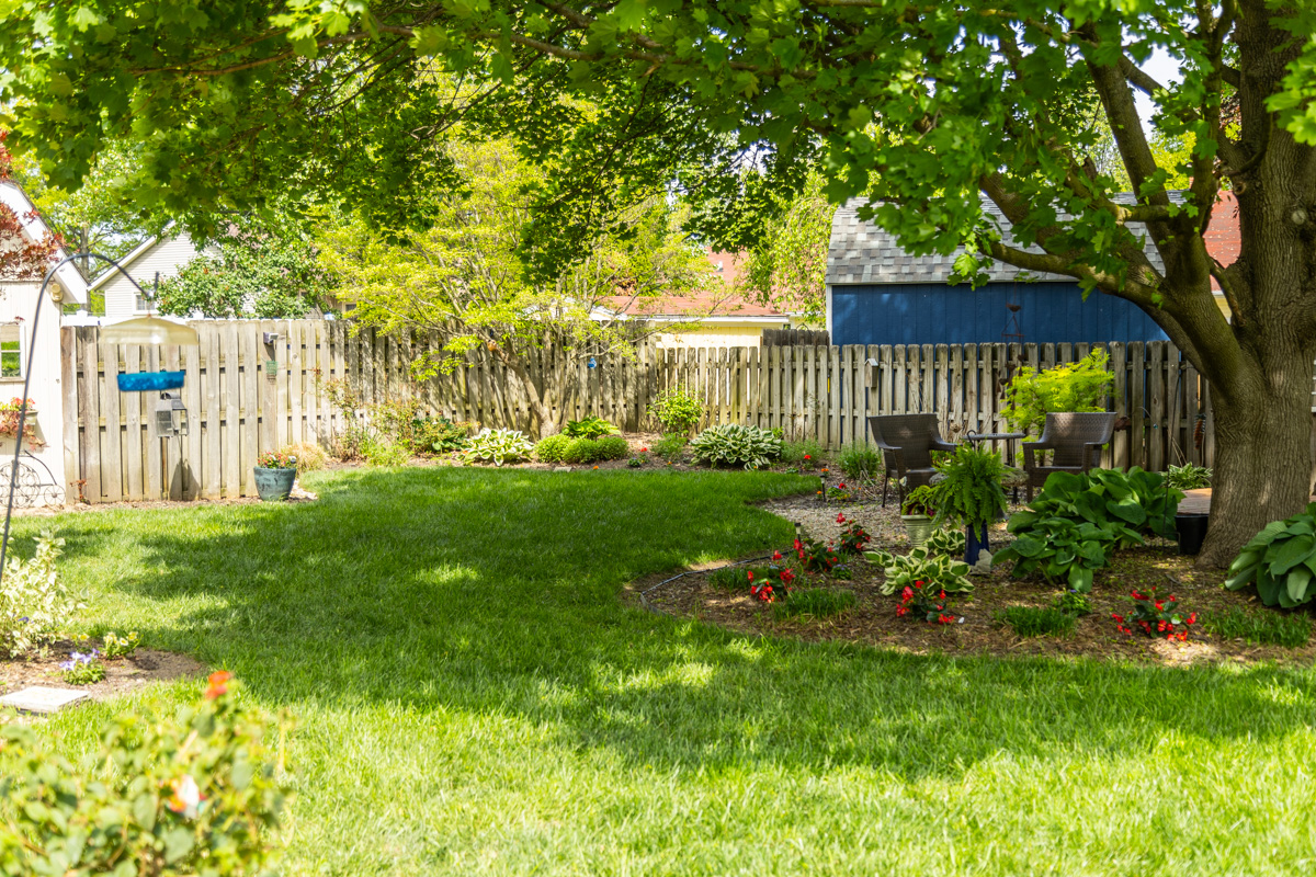 growing grass in shaded indiana lawns