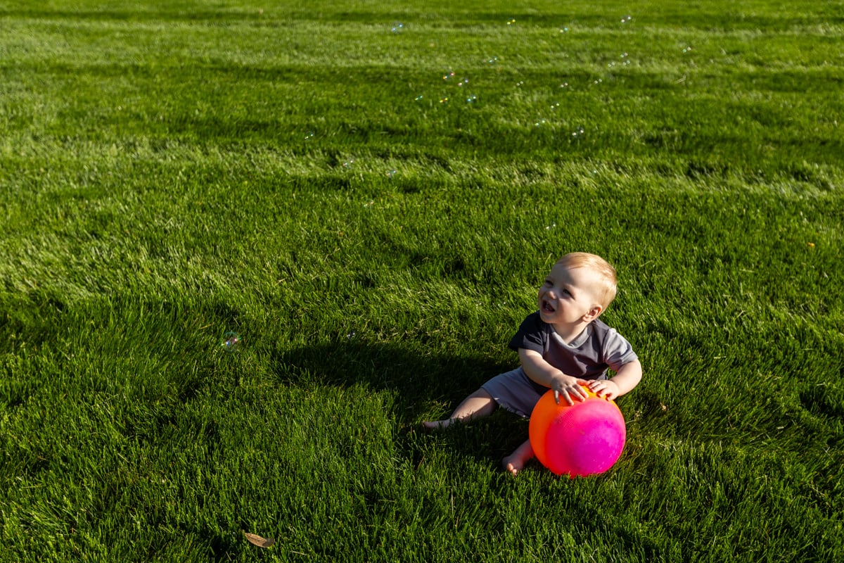 happy family customer playing grass lawn trees 8