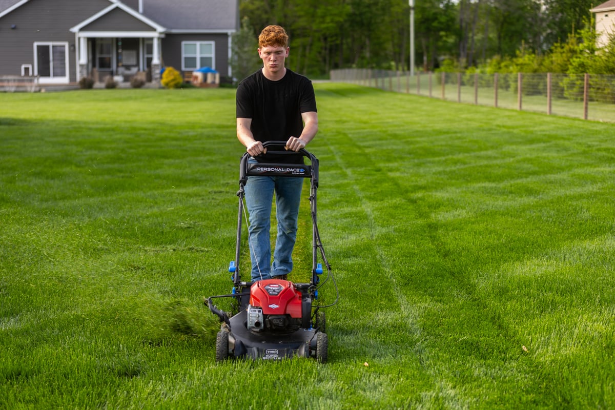 mulching grass clippings with a lawn mower can promote healthy turf