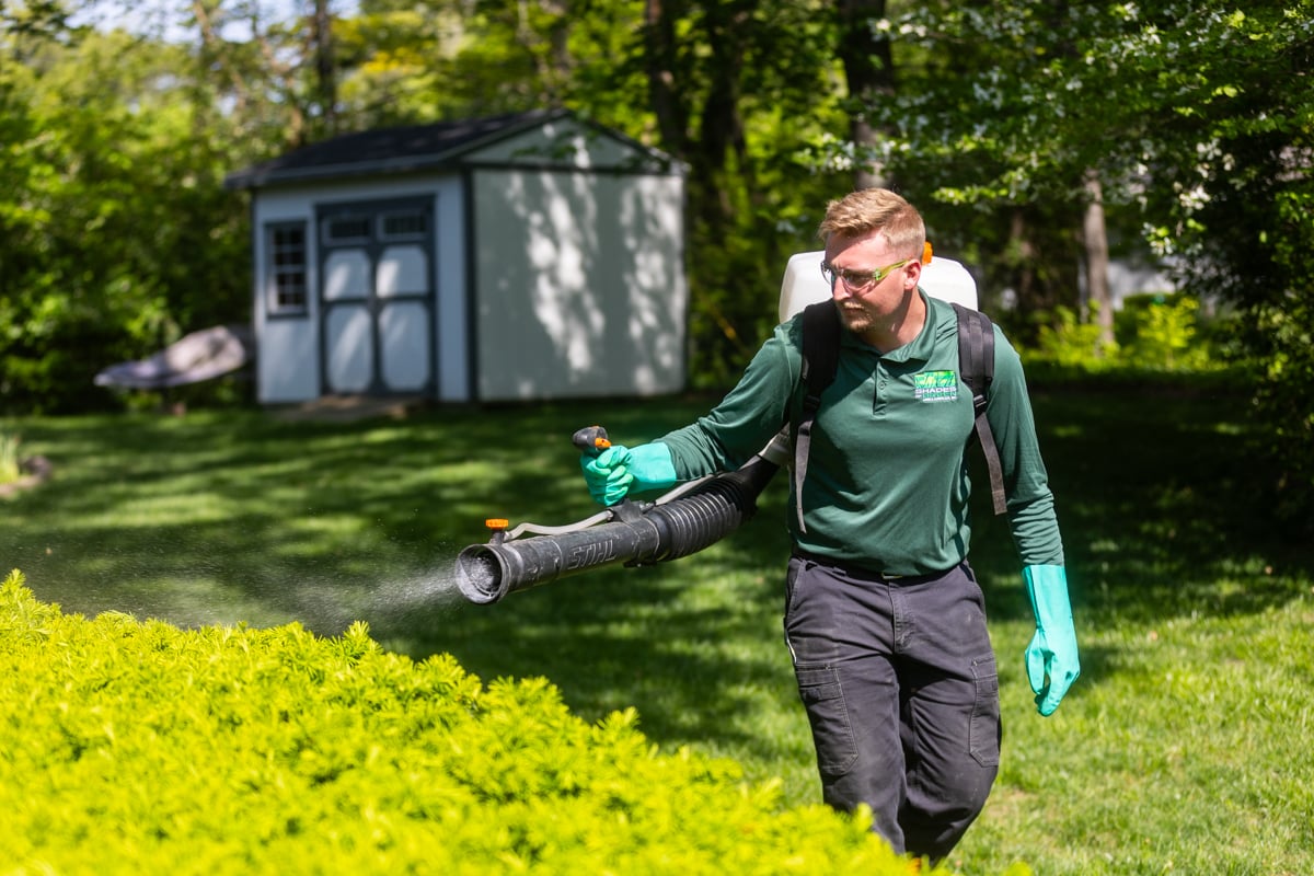 mosquito control prevention application backpack fogger sprayer 16
